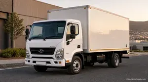 Hyundai EX-8 Van Body