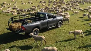 Toyota Hilux Single Cab