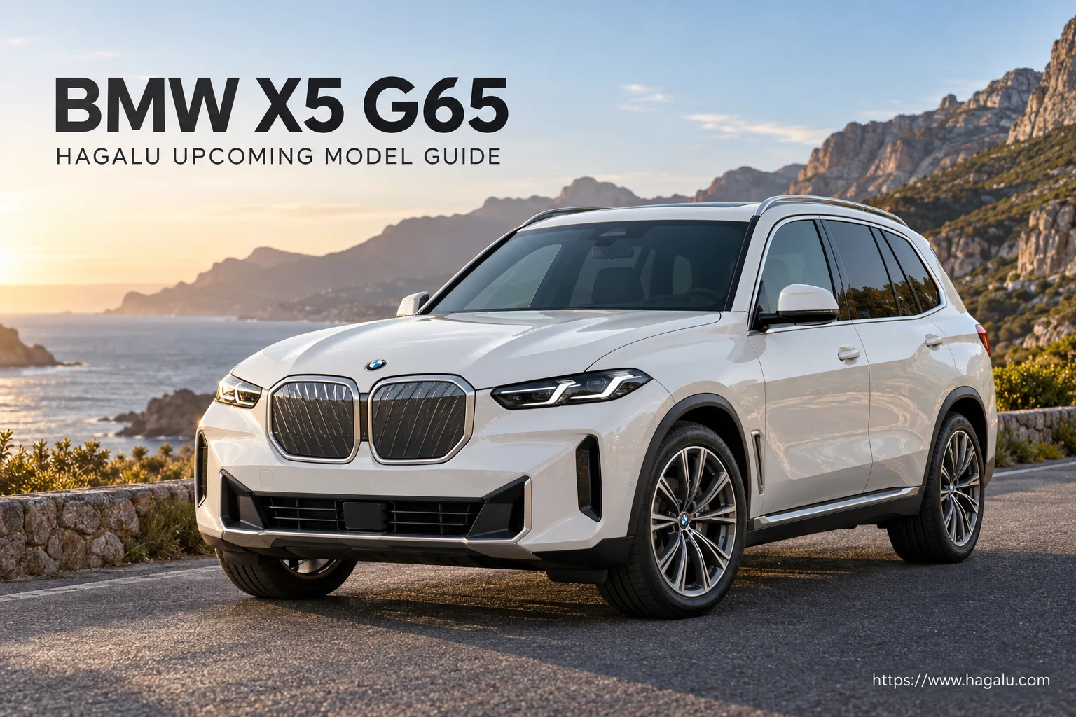 BMW X5 (G65)