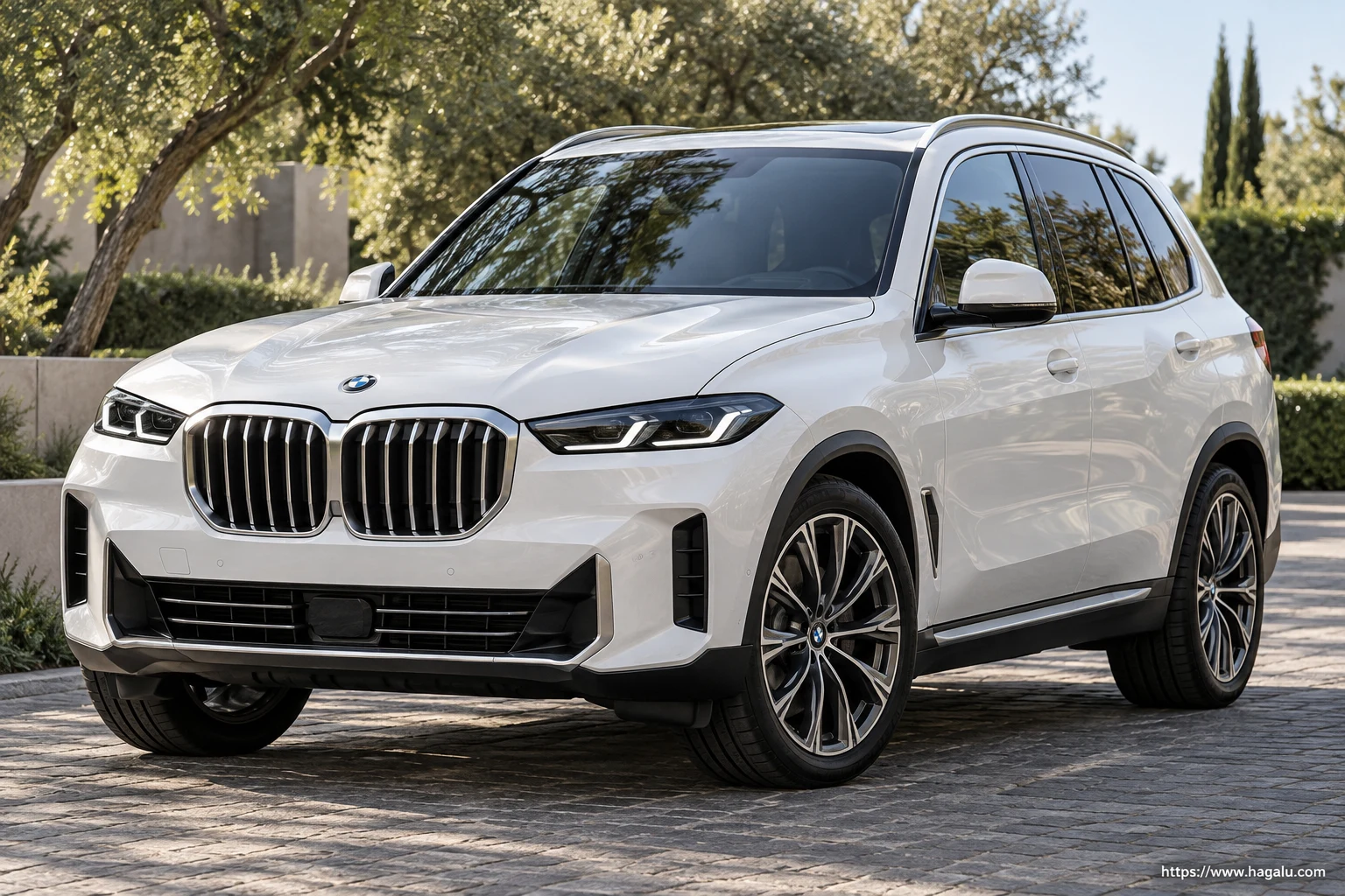 BMW X5 (G65) exterior view 1 for South African vehicle comparison