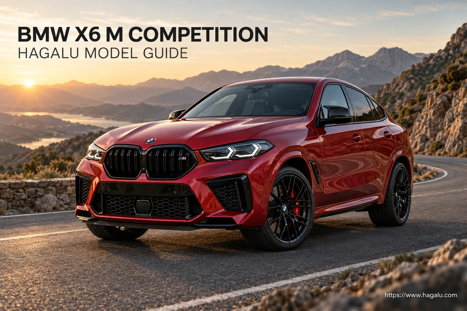 X6 M