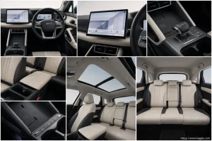 BYD ATTO 2 DM-i interior view 2 for South African vehicle comparison