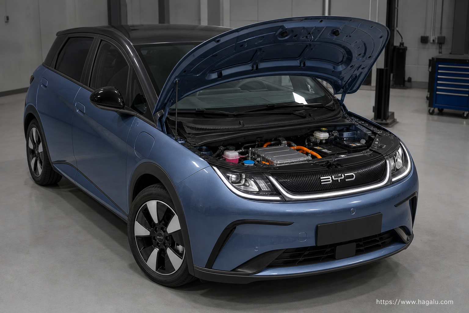 BYD DOLPHIN open bonnet and powertrain bay showing the under-bonnet layout in South Africa