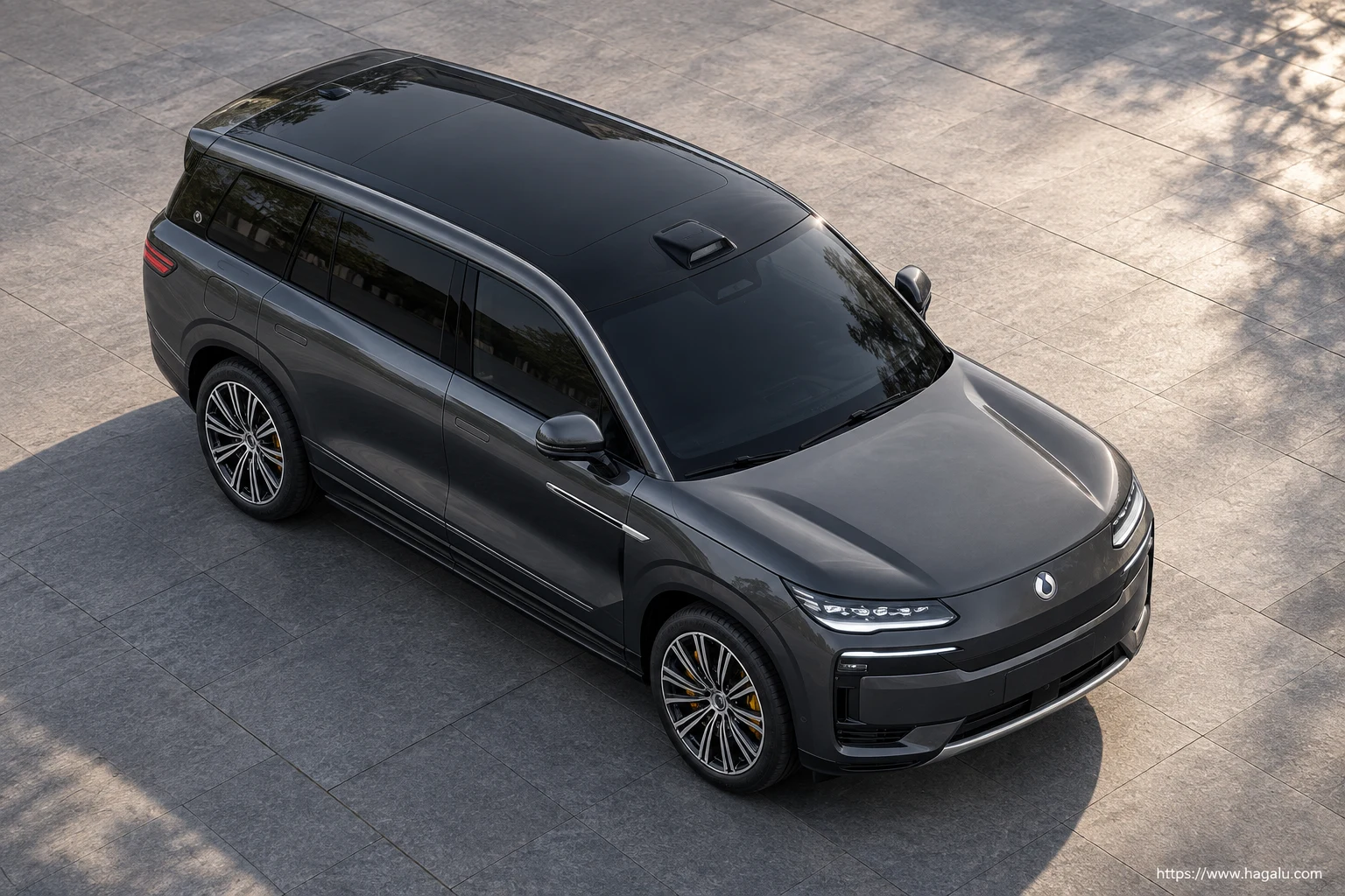 Illustrative DENZA N9 additional closed-body exterior view showing the roofline and exterior surfaces for the South Africa watchlist; final design unconfirmed