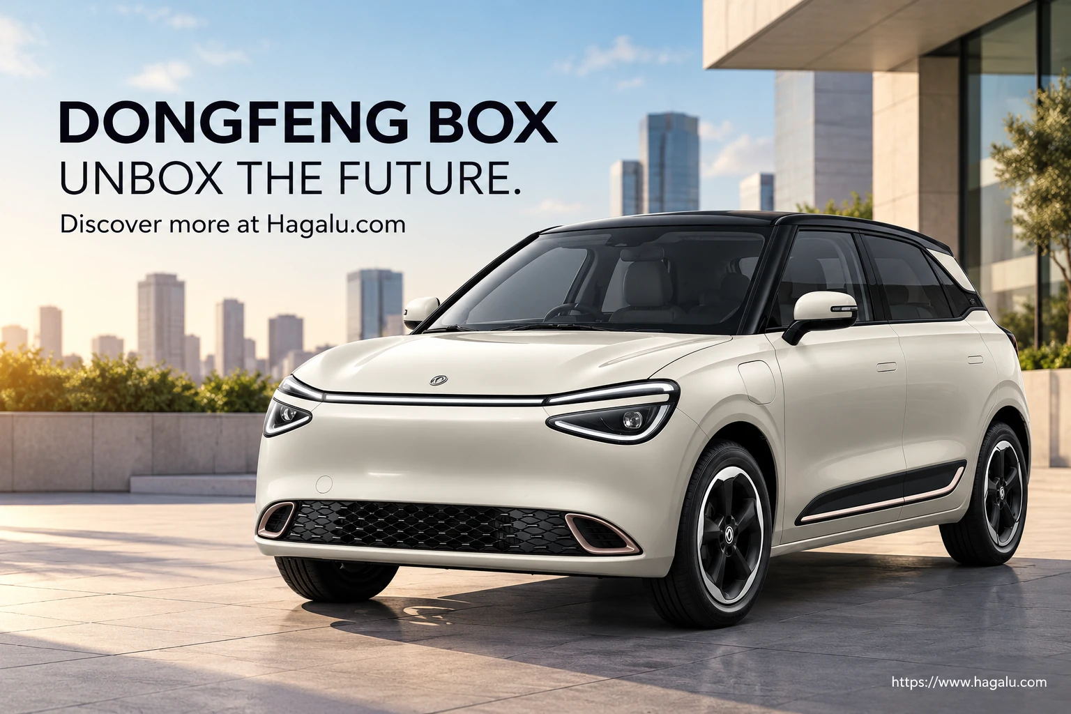 Dongfeng BOX