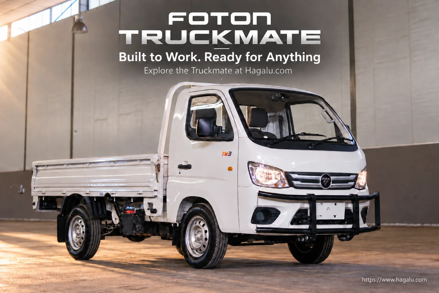 Foton Truckmate