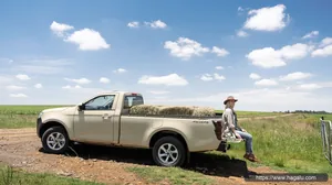 Isuzu D-Max Single Cab exterior view 3 — South Africa 2026
