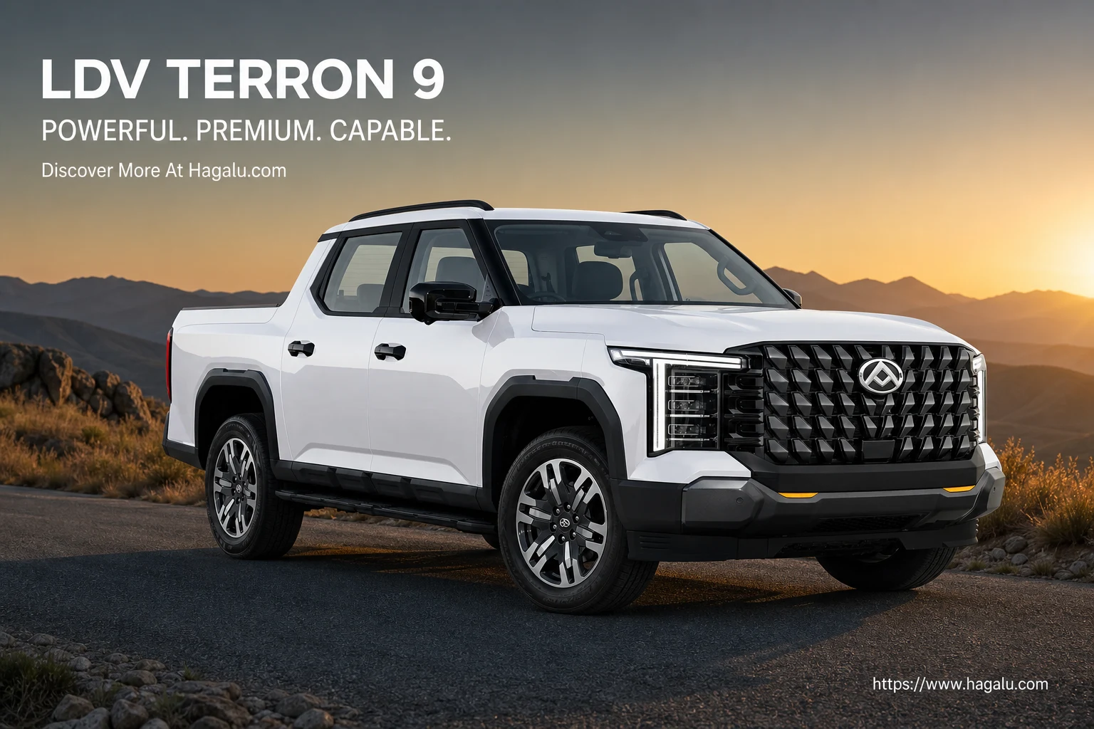 Ldv Terron 9