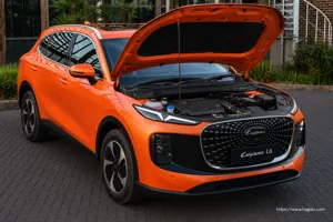 LEPAS L6 exterior view 5 — South Africa 2026
