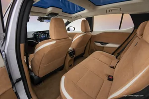 Lexus RZ interior view 3 for South African vehicle comparison