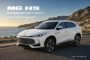 Mg HS
