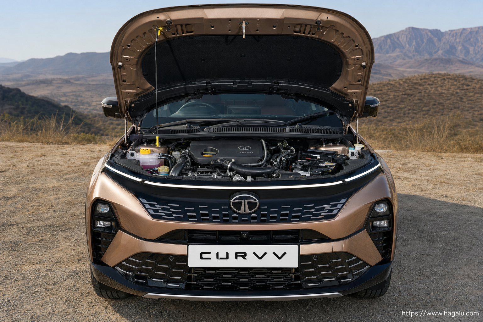 Tata Curvv open bonnet and powertrain bay showing the under-bonnet layout in South Africa