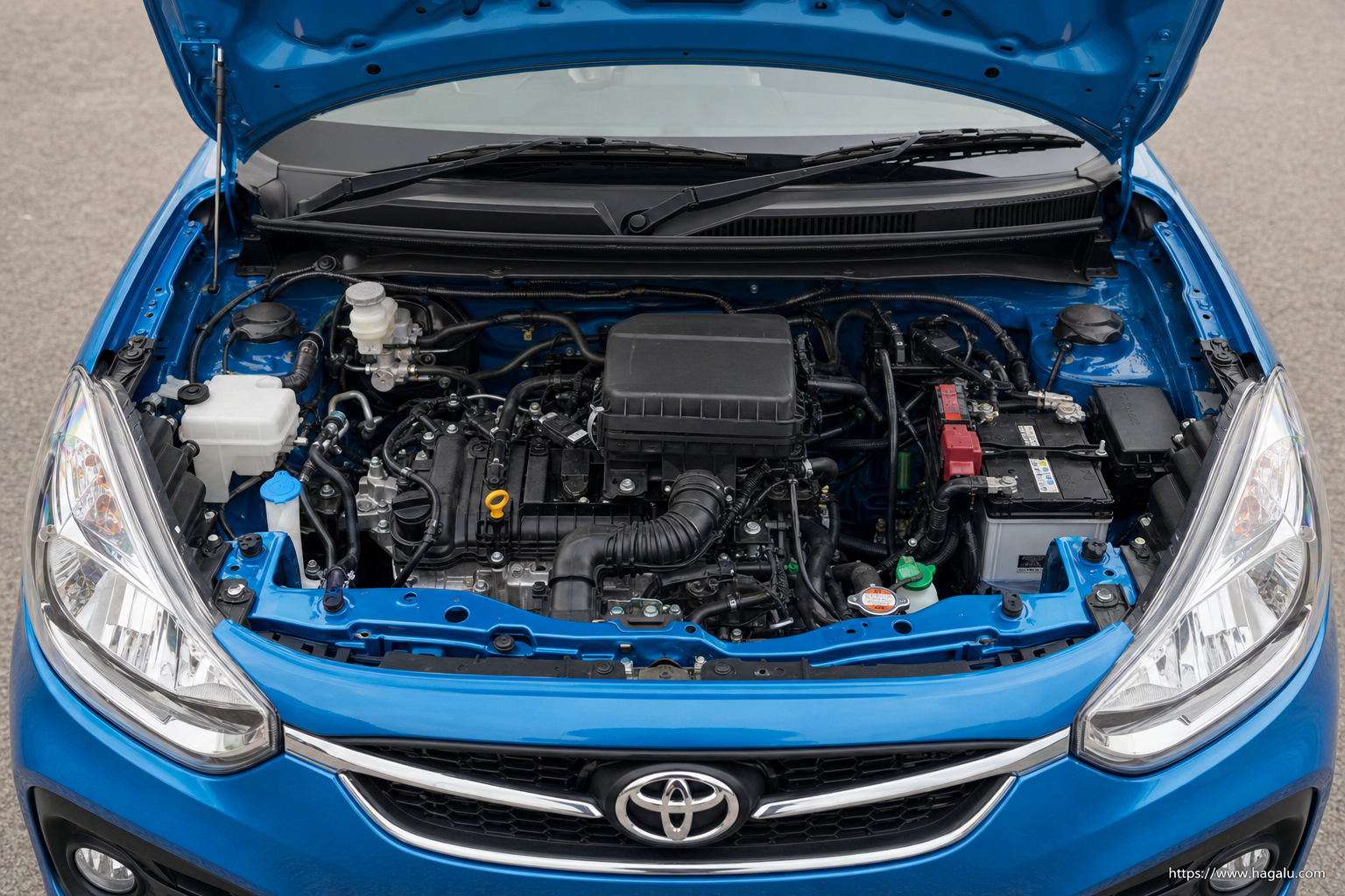 Toyota Vitz open bonnet and powertrain bay showing the under-bonnet layout in South Africa