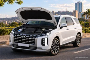 Hyundai Palisade exterior view 5 for South African vehicle comparison